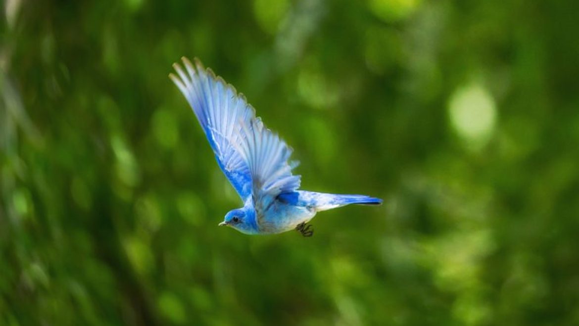 בתי התקבלה לסמינר
